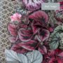 product-274891-1789482277-TRI05-0000064^5